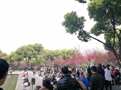 -圩墩遗址公园
