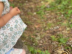 -五营红松林海景区