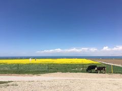-青海湖国家重点风景名胜区