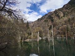 -叠溪松坪沟景区