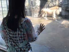 -南昌动物园