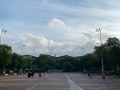 -紫马岭公园