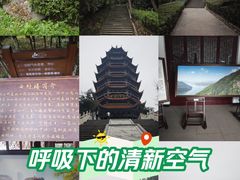 -铁山坪森林公园