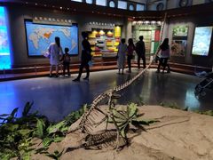 -自贡恐龙博物馆