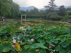 -国家植物园南园