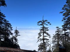 -瓦屋山景区