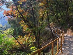 -北京上方山国家森林公园