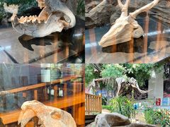 -中国第四纪冰川遗迹陈列馆