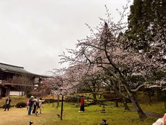 -醍醐寺