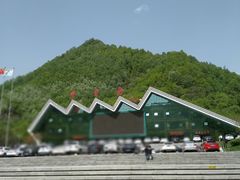 -牛背梁国家森林公园