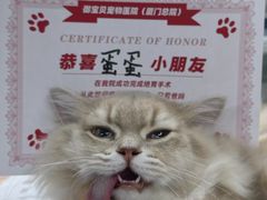 -御宝贝24h宠物医院·转诊中心·CT核磁血透中心(厦门总院)