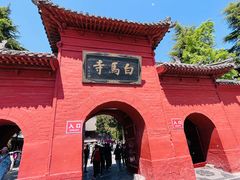 -洛阳白马寺