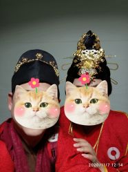 -盘子女人坊古装写真摄影(天津总店)