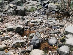 -梧桐山风景名胜区