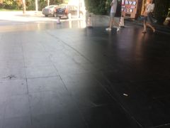-张猫猫爱吃鱼