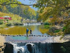 -广州市石门国家森林公园
