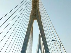 -湖南东洞庭湖国家级自然保护区