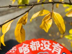 -西安外国语大学(长安校区)