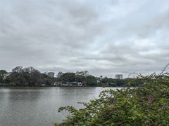 -西湖公园(鼓楼区)