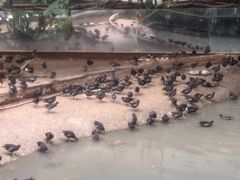-柳州市动物园