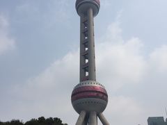 -东方明珠国际旅行社有限公司