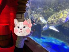 -中央电视塔旋转餐厅