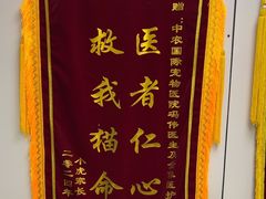 -中农国际动物医院24小时·猫科·骨科·急重症中心