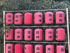 -中卫御苑福膳·养生局(圆明园店)