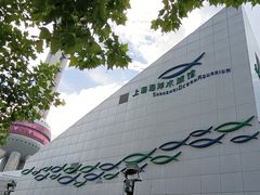 -上海海洋水族馆