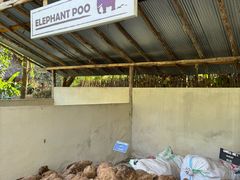 -大象粑粑造纸公园