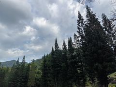 -深圳仙湖植物园