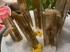 -领鲜天下·焗海鲜·花胶鸡(天目里店)