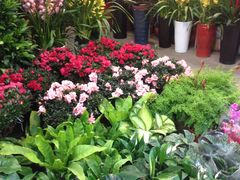 -双季花艺园艺市场(浦东店)