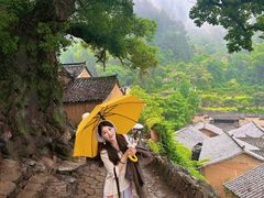-杨家堂村