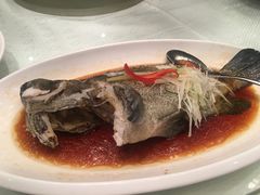 清蒸老虎斑-香云轩·顺德菜(香云纱园林酒店店)