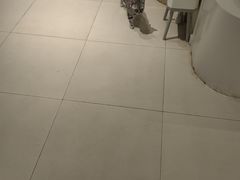 -怪兽屋·羊驼·猫咖·狗咖(俊华广场店)