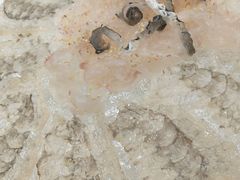 -官塘陈记鱼生·潮汕砂锅粥·牛肉火锅(潮枫路总店)