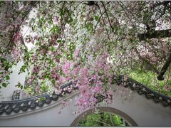 -深圳国际园林花卉博览园