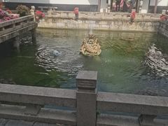-上海醉白池公园