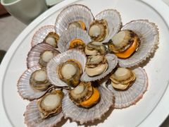 -船歌·鱼水饺青岛菜(石老人店)