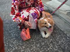 -有栖山 清光院 清水寺