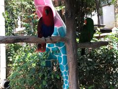 -三亚千古情景区游客中心-接待中心