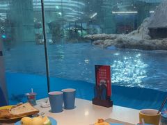 -帝企鹅自助餐厅•儿童岛•真企鹅(长隆企鹅酒店)