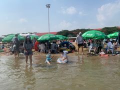 -碧海金沙