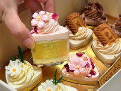 -杜哈夫DOUX RÊVE·生日蛋糕(日月光店)