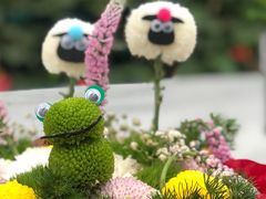 -石家庄市植物园