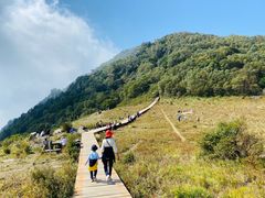 -白草畔自然风景区