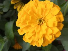 -长春公园(普阳街道)