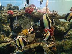 -海合安青岛极地海洋公园