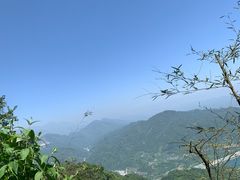 -老号尤兔头(幸福店)